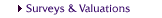 Surveys & Valuations