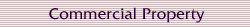 Commercial Property