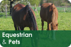 Equestrian & Pets