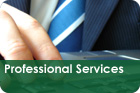 Professional Services