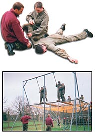 article's image