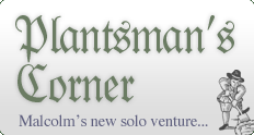 Plantsman's Corner - Malcolm's new solo venture...