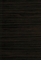 avant_ebony_door