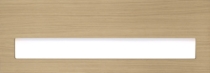 centris_letterbox(horiz)_door