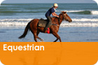 Equestrian