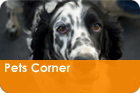 Pets Corner