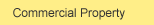 Commercial Property